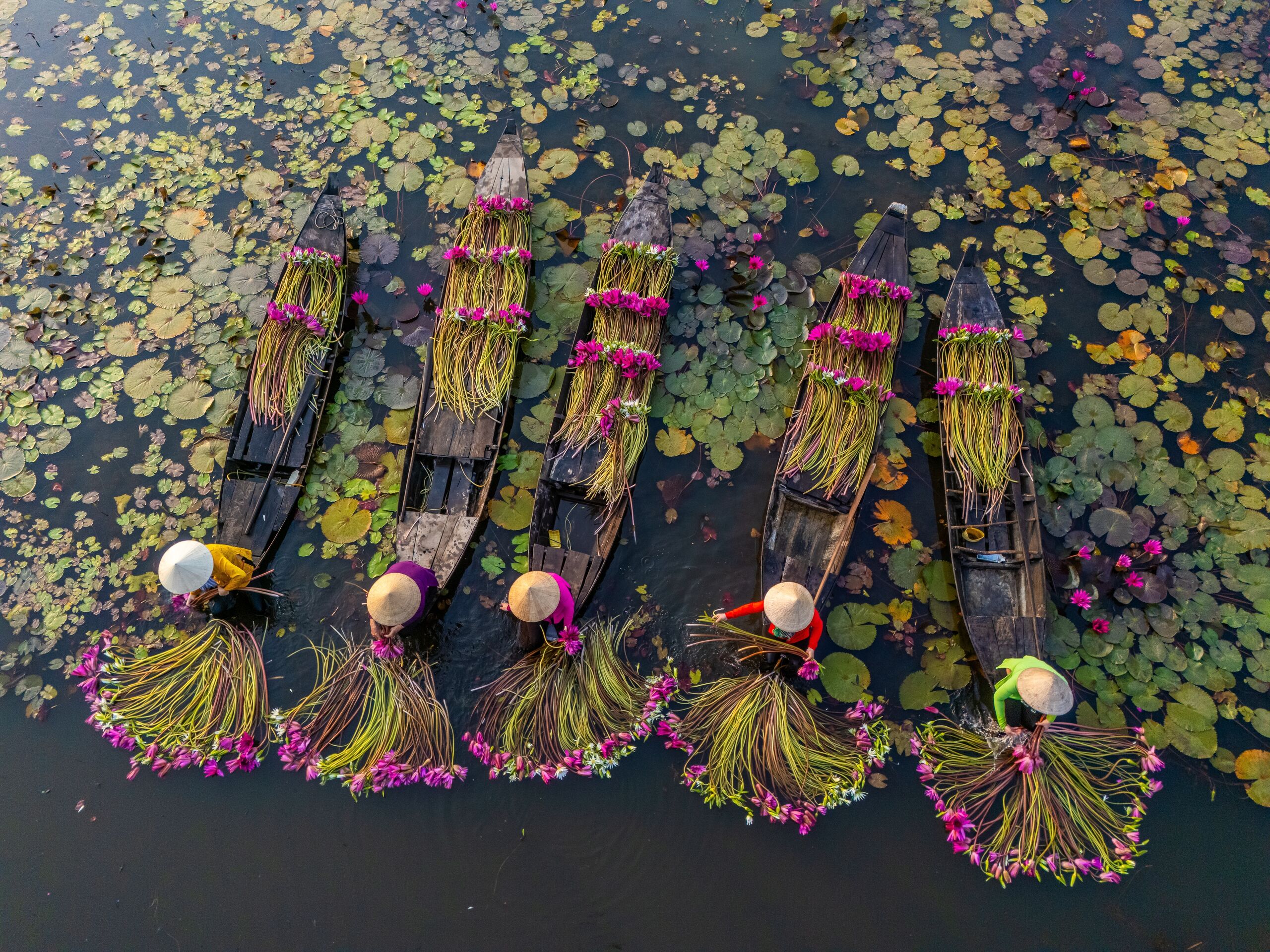 Imagen de DELTA DEL MEKONG